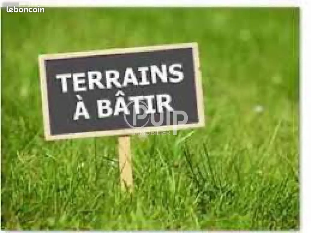 Terrain