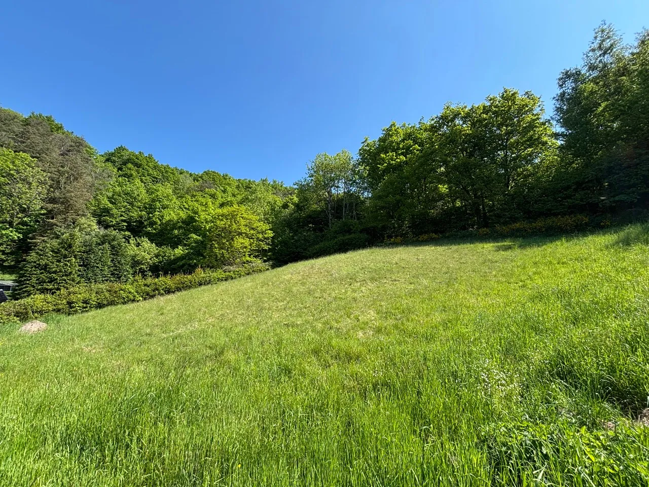 Terrain