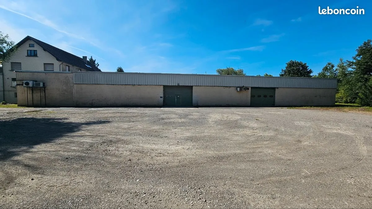 Local d'activité