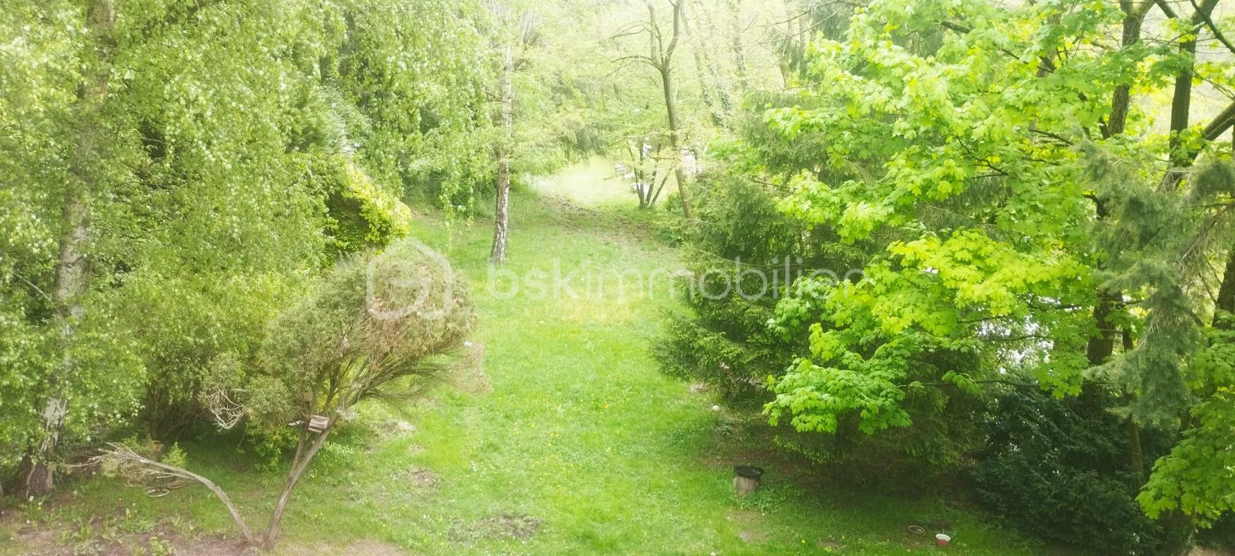 Terrain