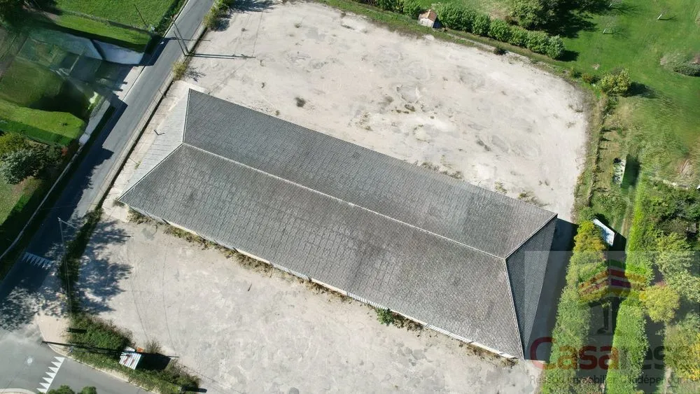 Local d'activité