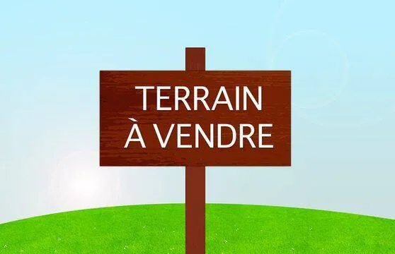 Terrain