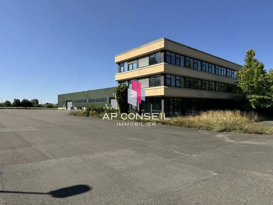 Local d'activité