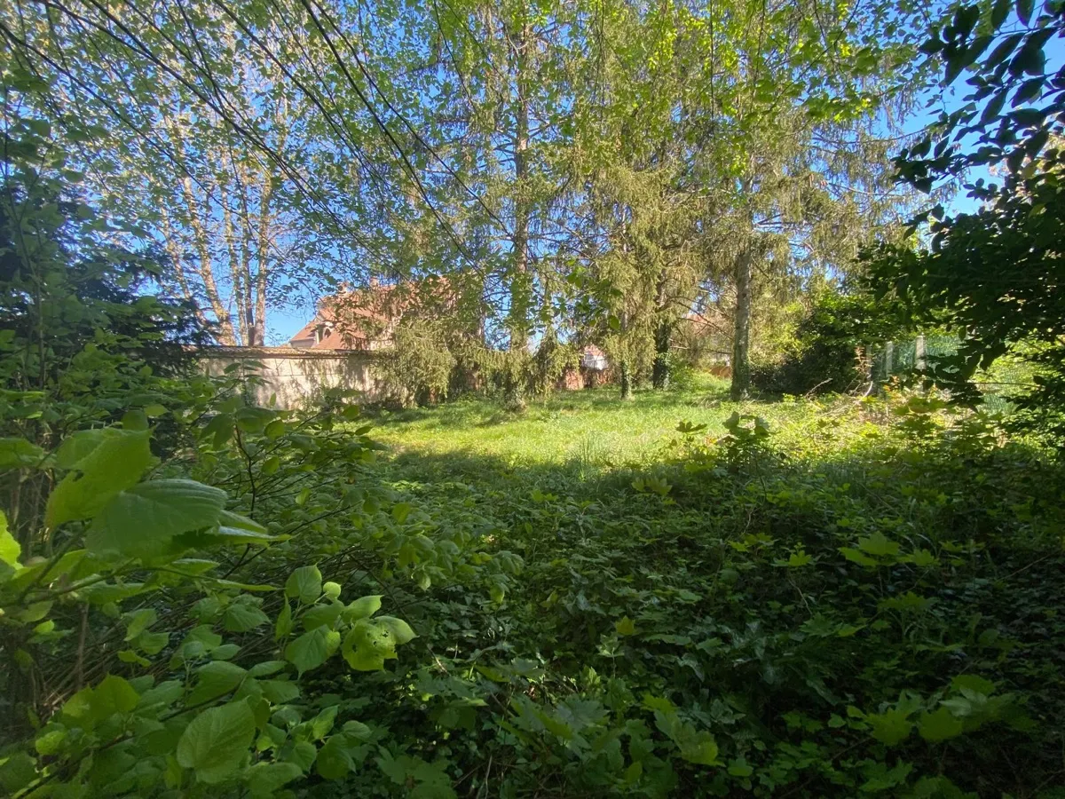 Terrain
