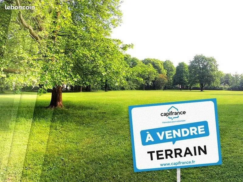 Terrain