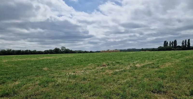 Terrain