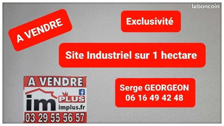 Local d'activité