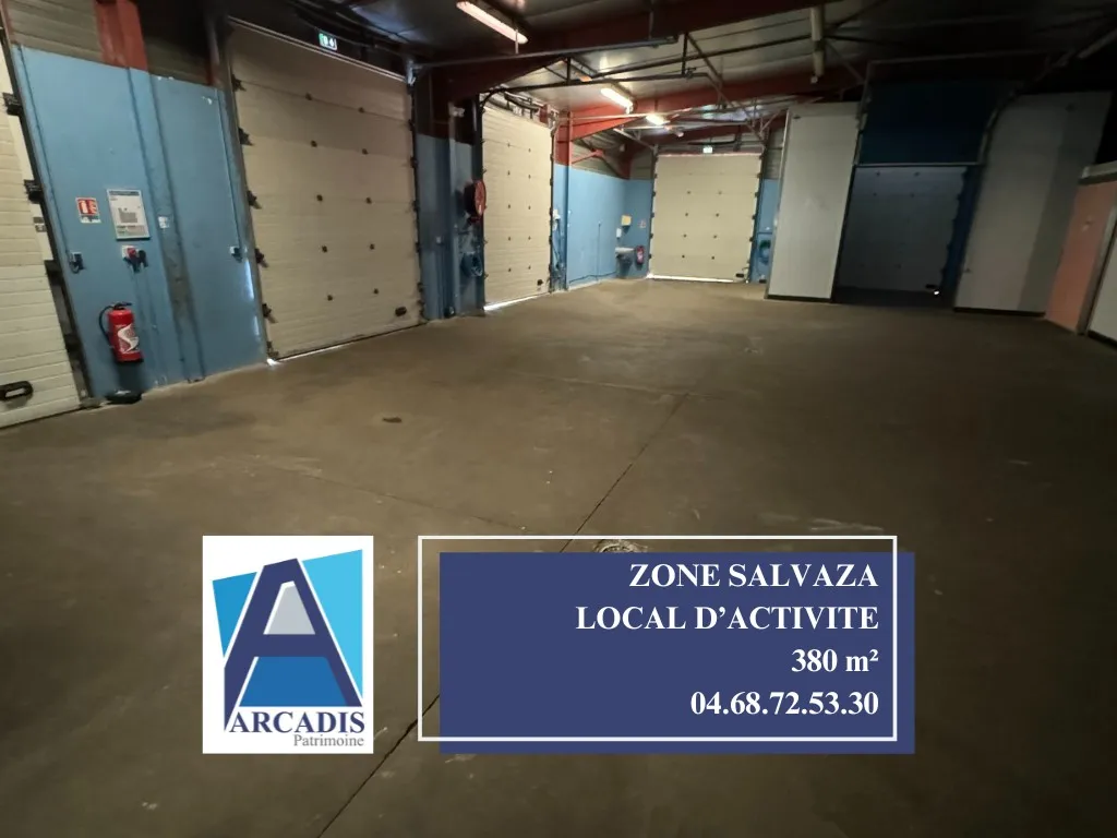 Local d'activité