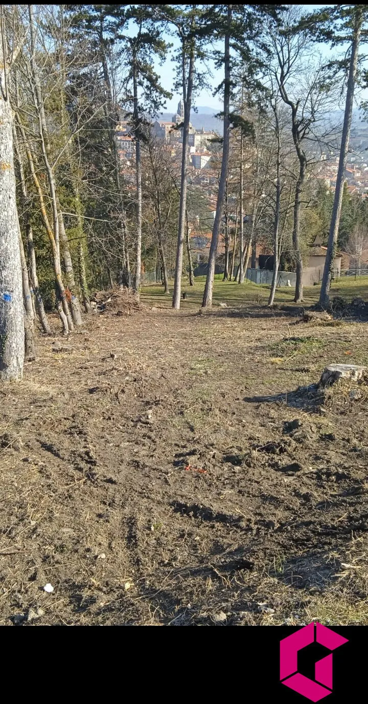 Terrain