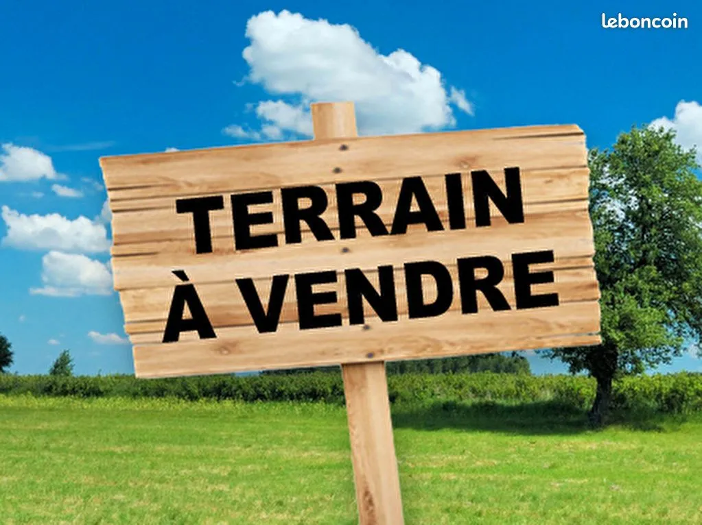 Terrain