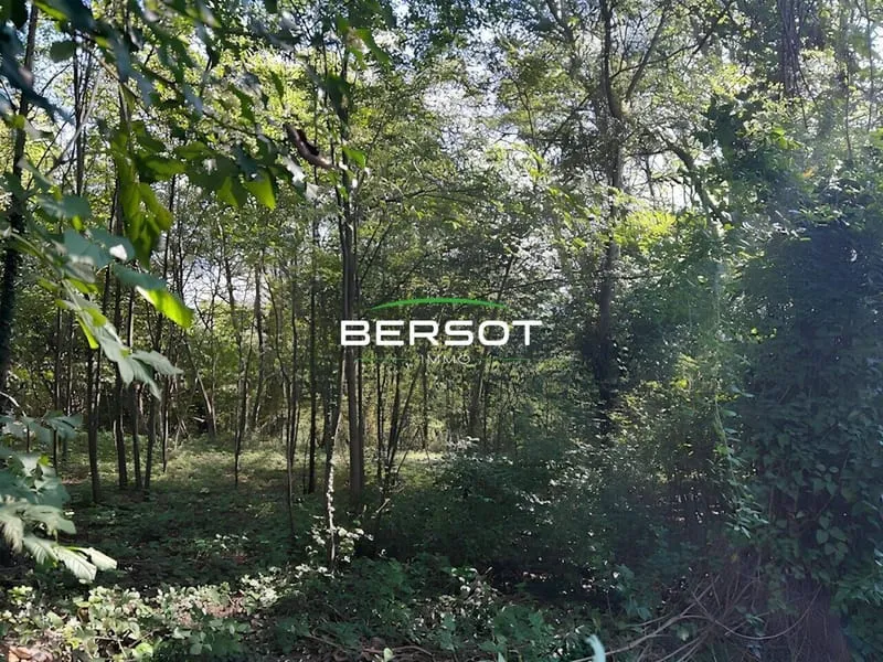 Terrain