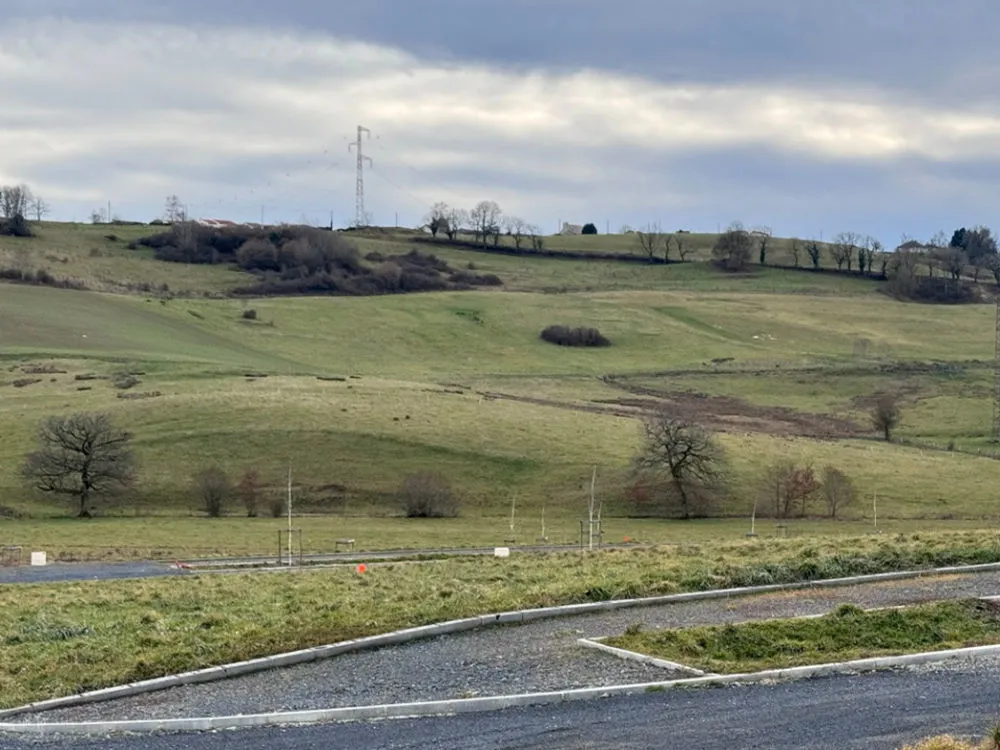 Terrain