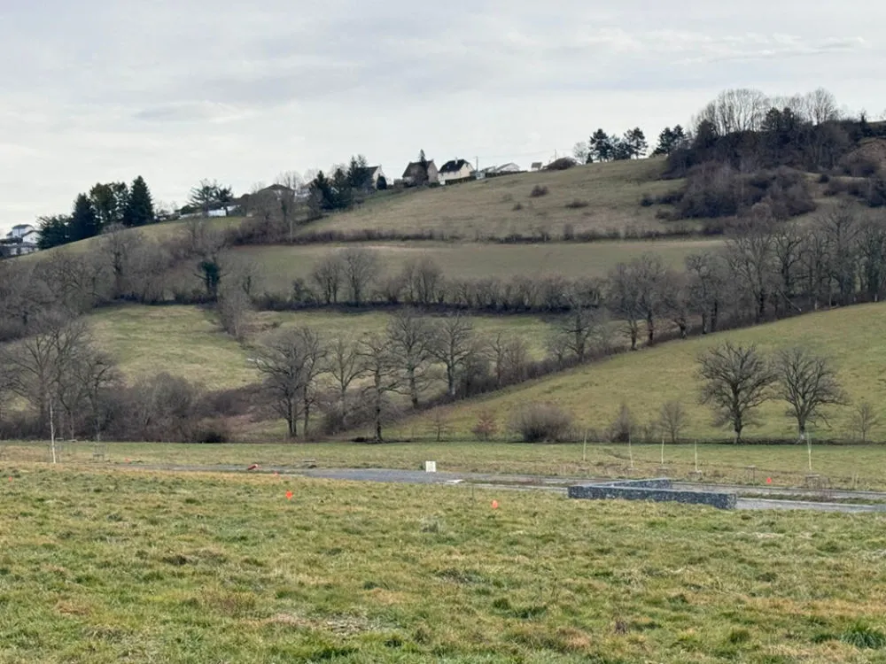 Terrain
