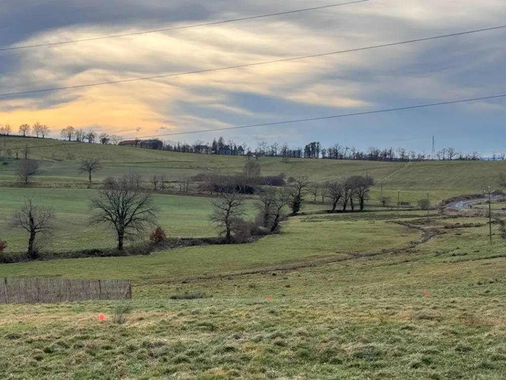 Terrain