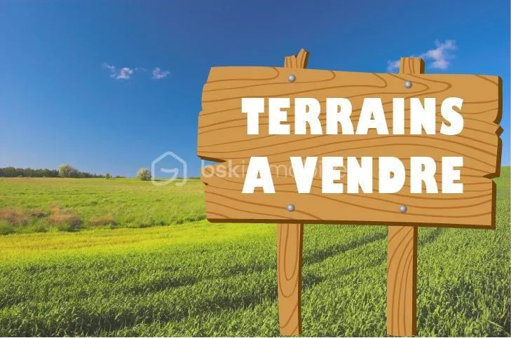 Terrain