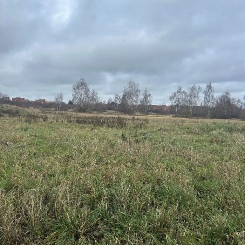 Terrain