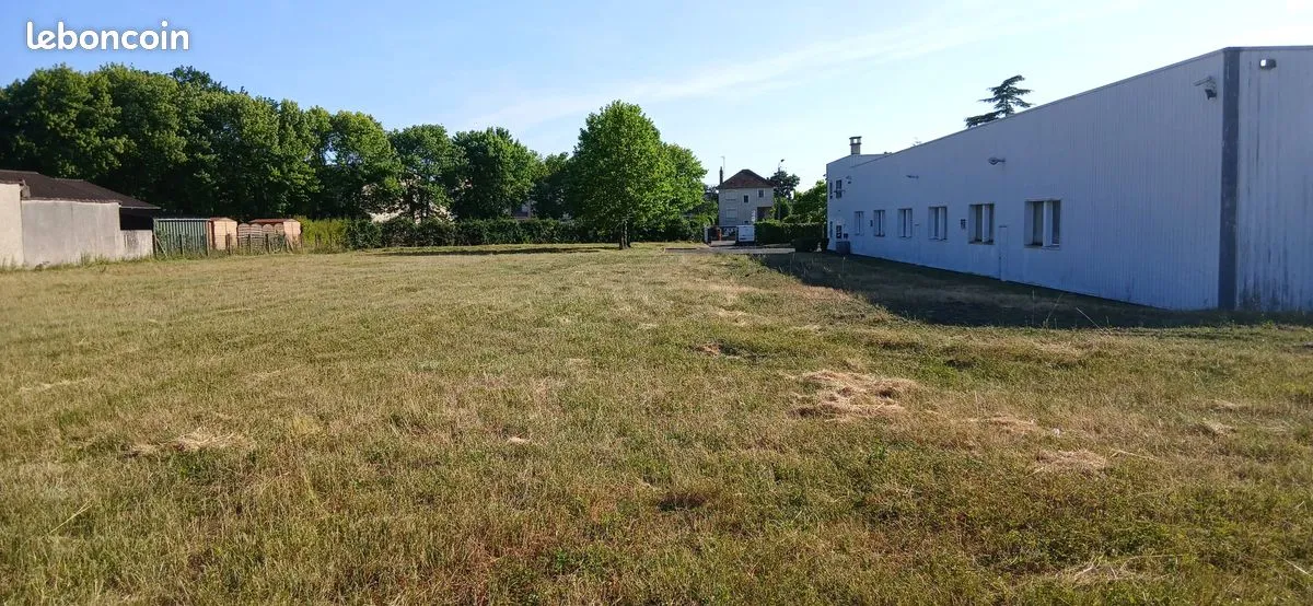 Local d'activité