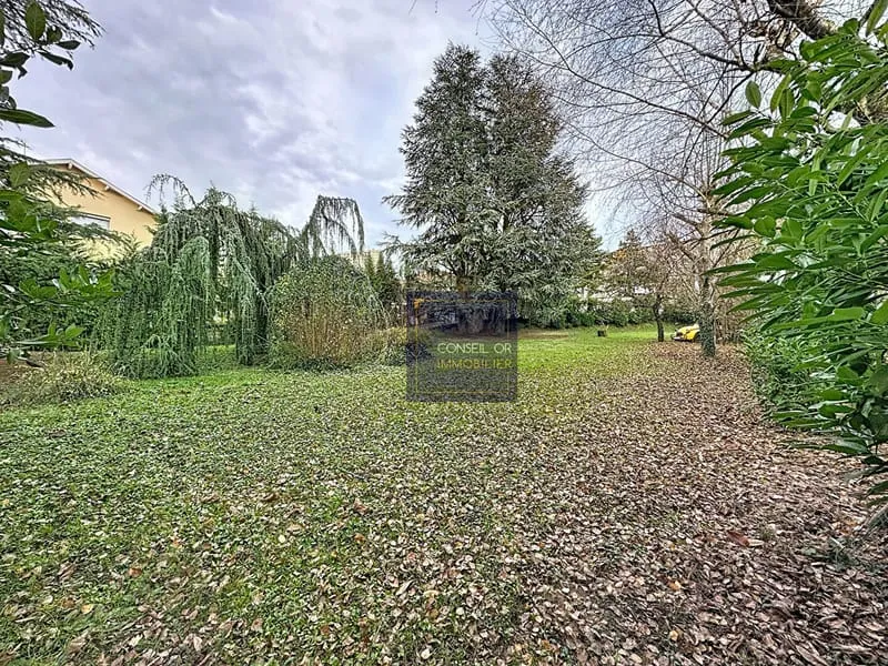 Terrain
