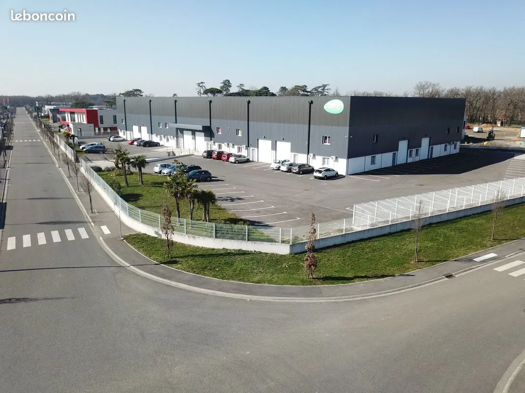 Local d'activité