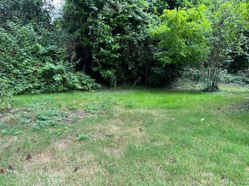 Terrain