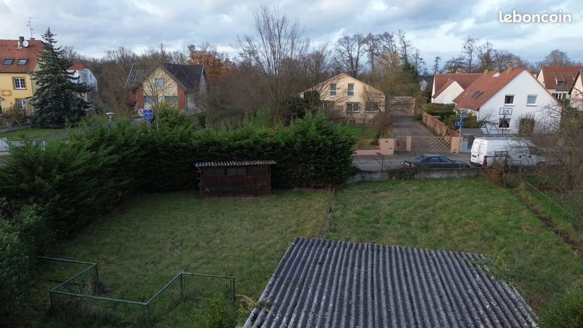 Terrain