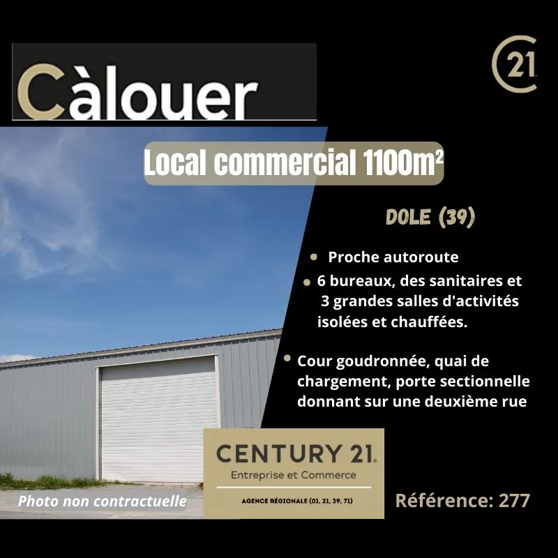 Local d'activité