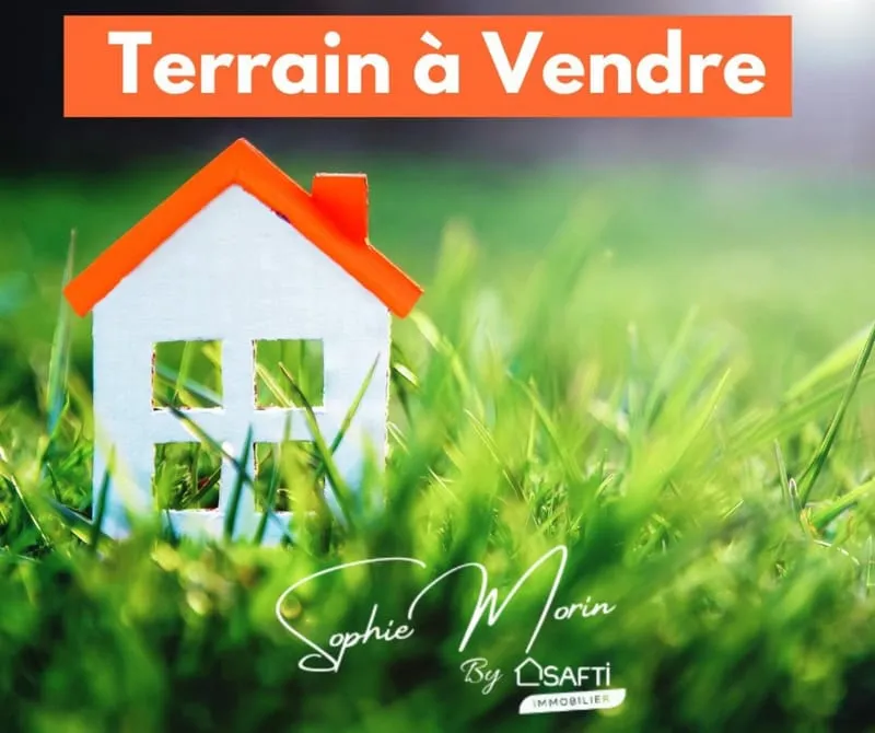 Terrain