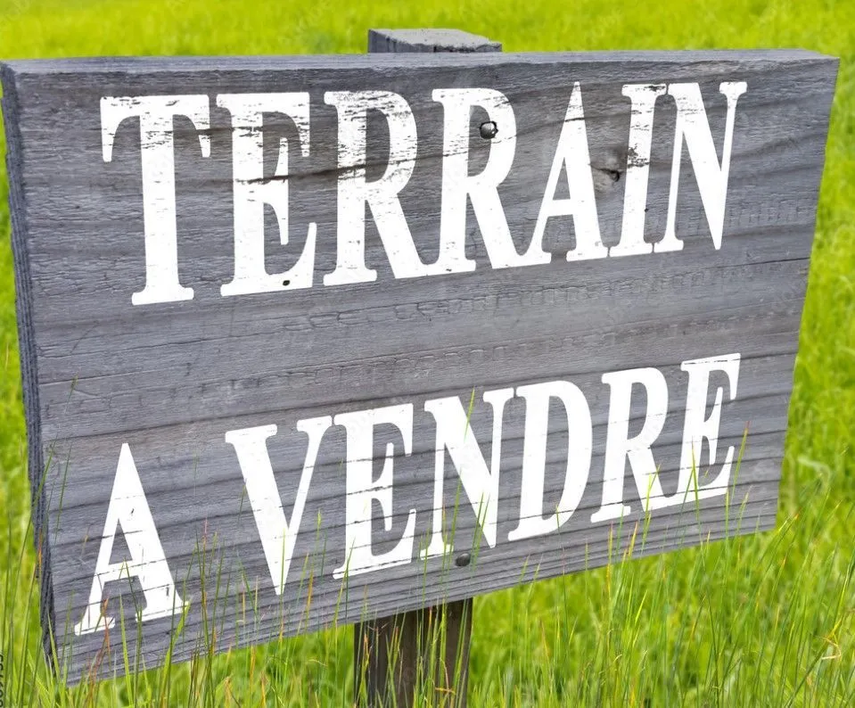 Terrain