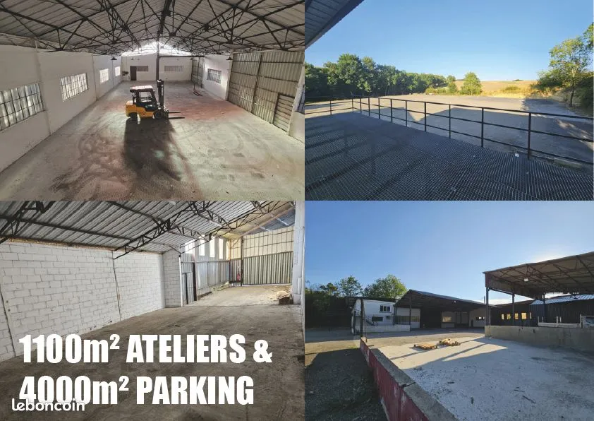 Local d'activité