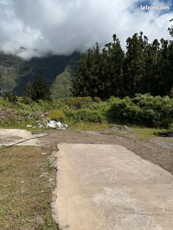 Terrain
