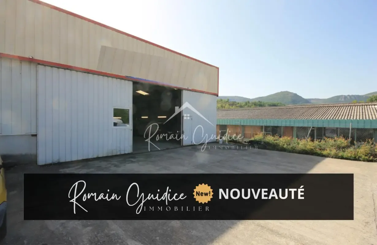 Local d'activité