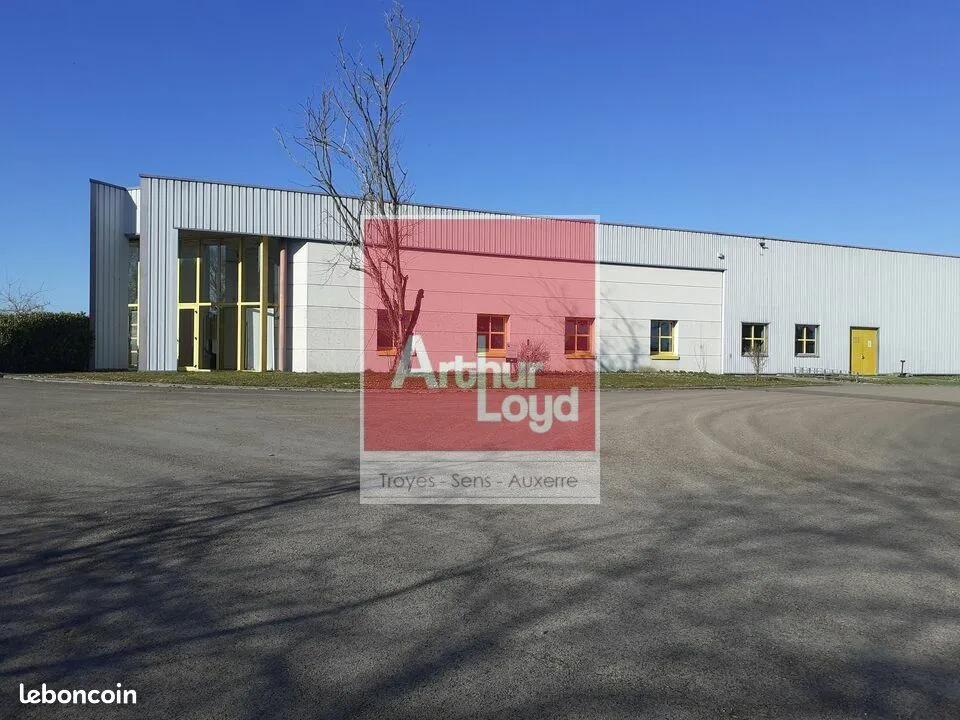 Local d'activité