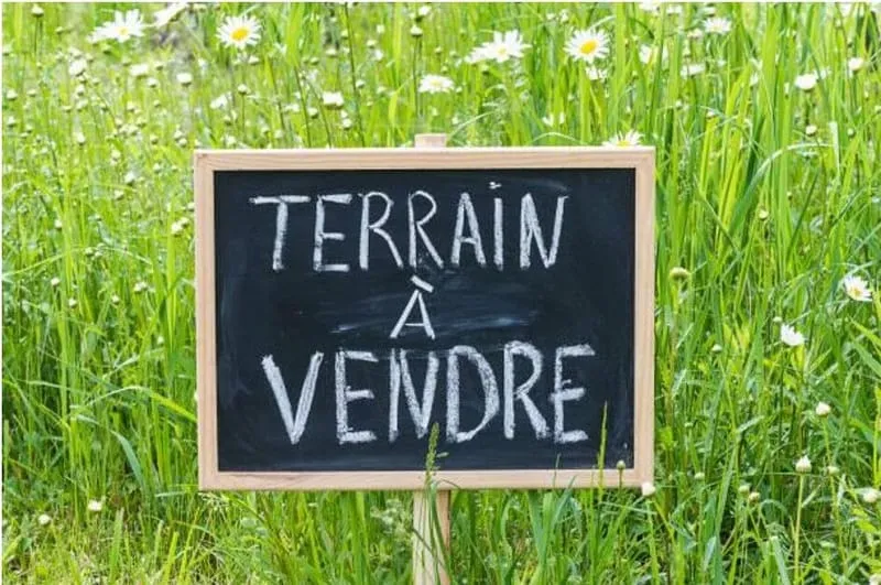 Terrain