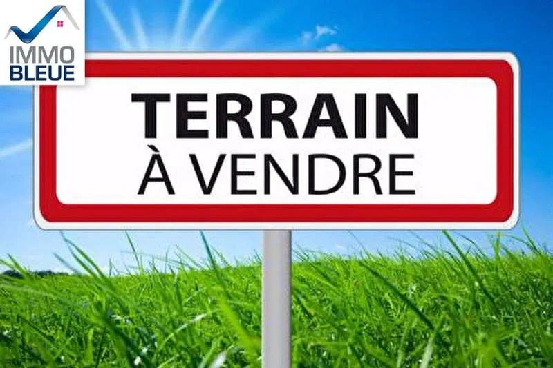 Terrain