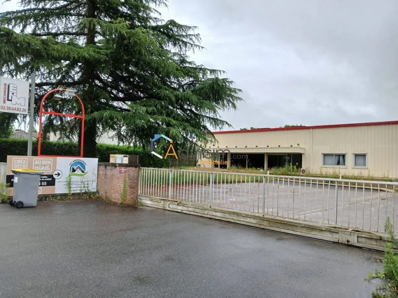 Local d'activité