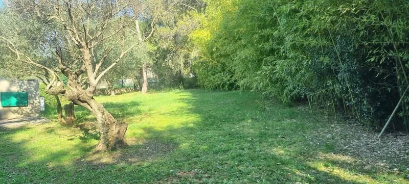 Terrain
