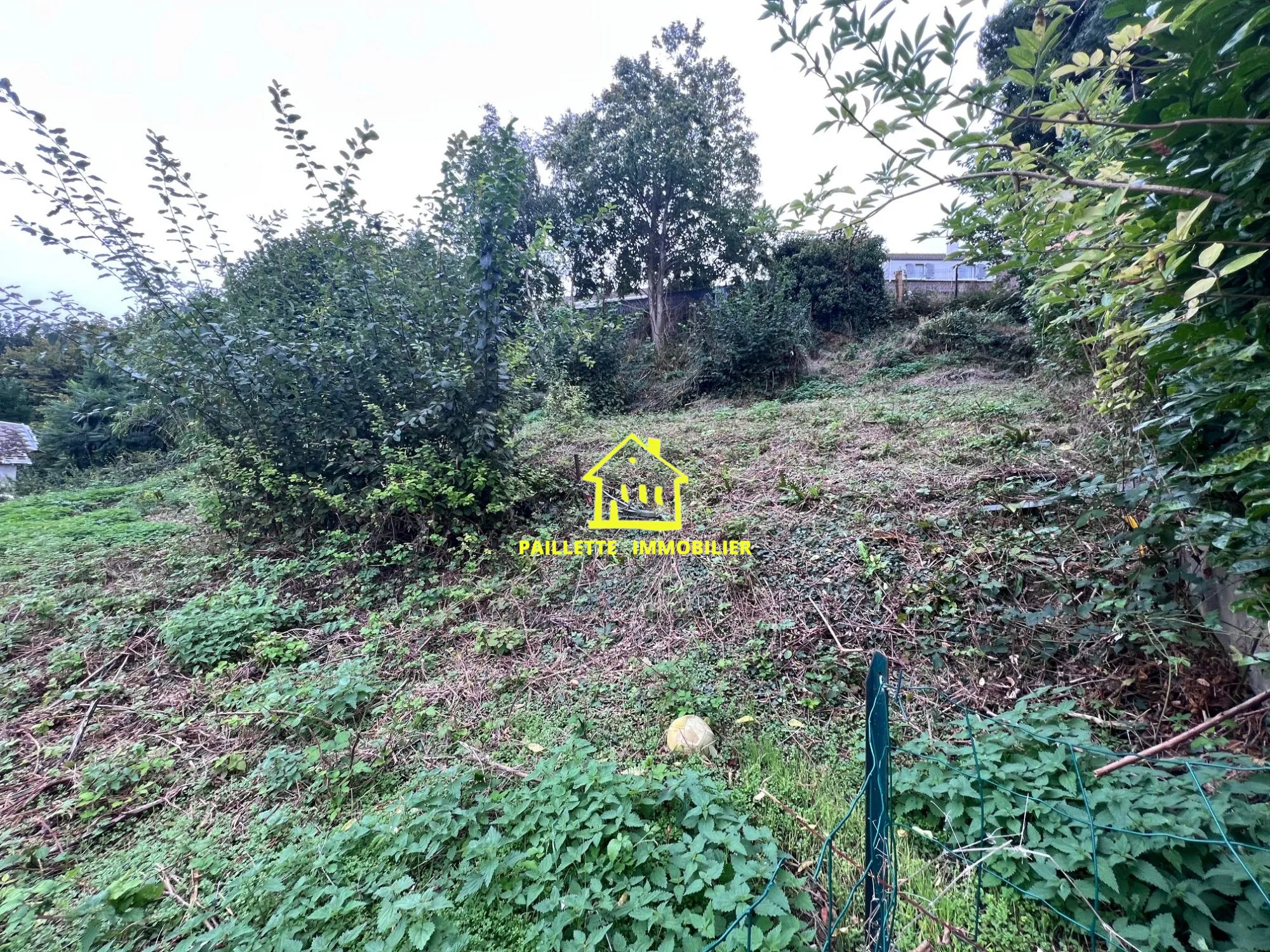 Terrain