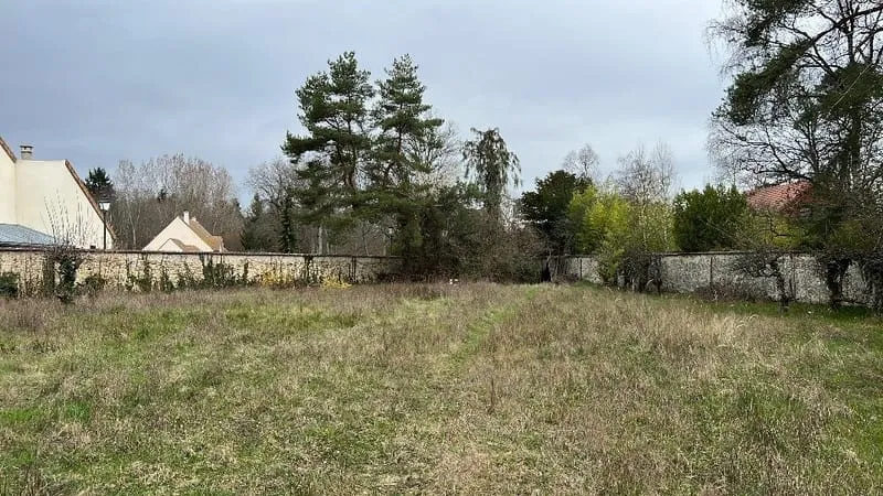 Terrain