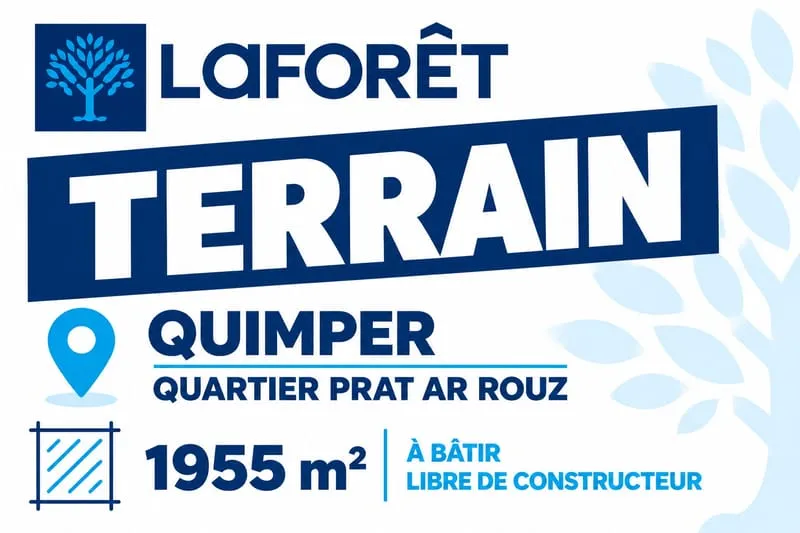 Terrain