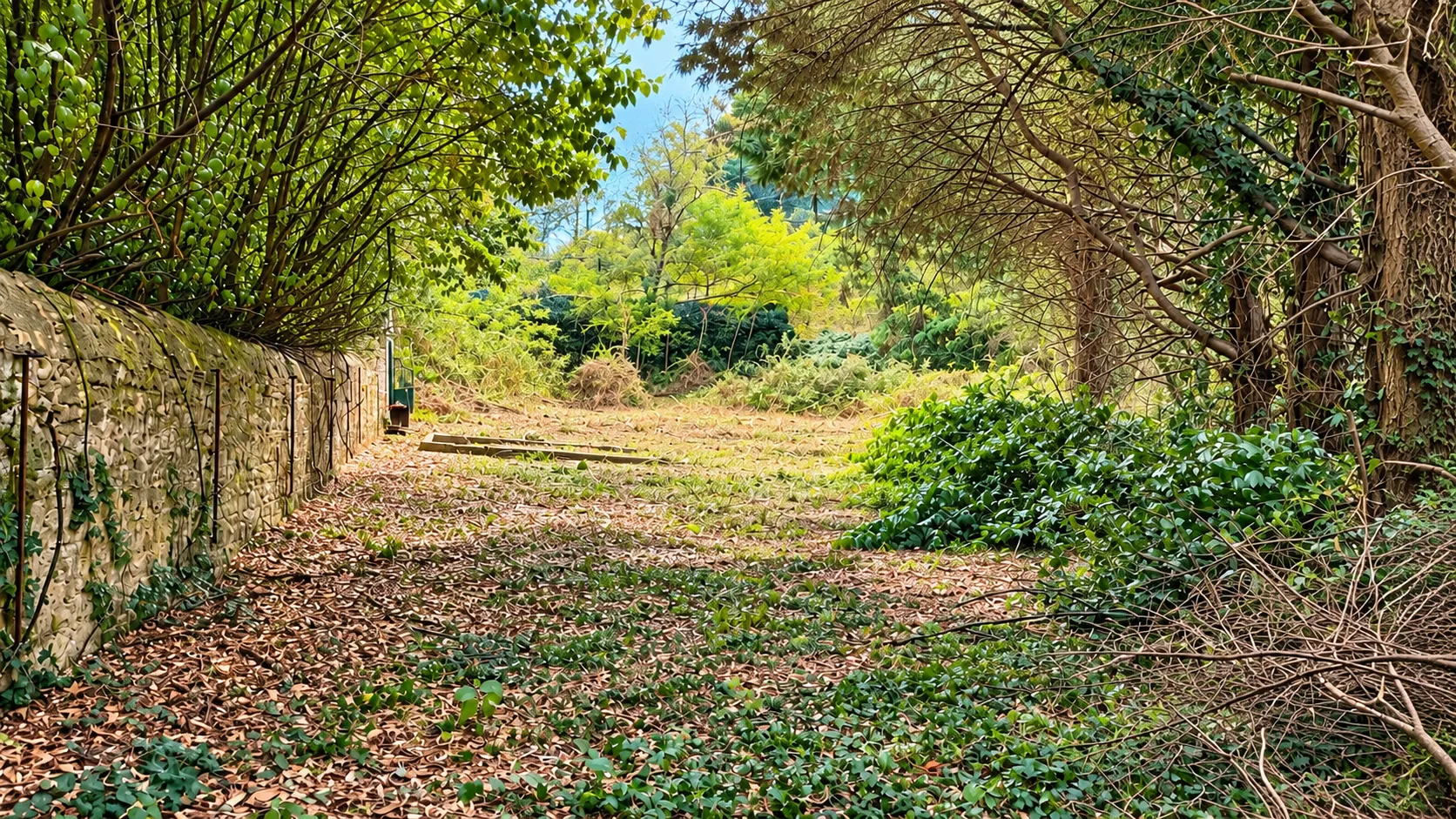 Terrain