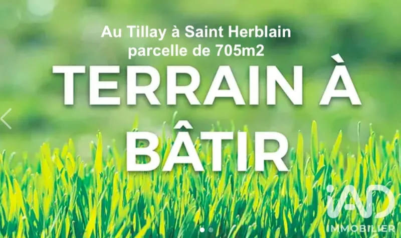 Terrain