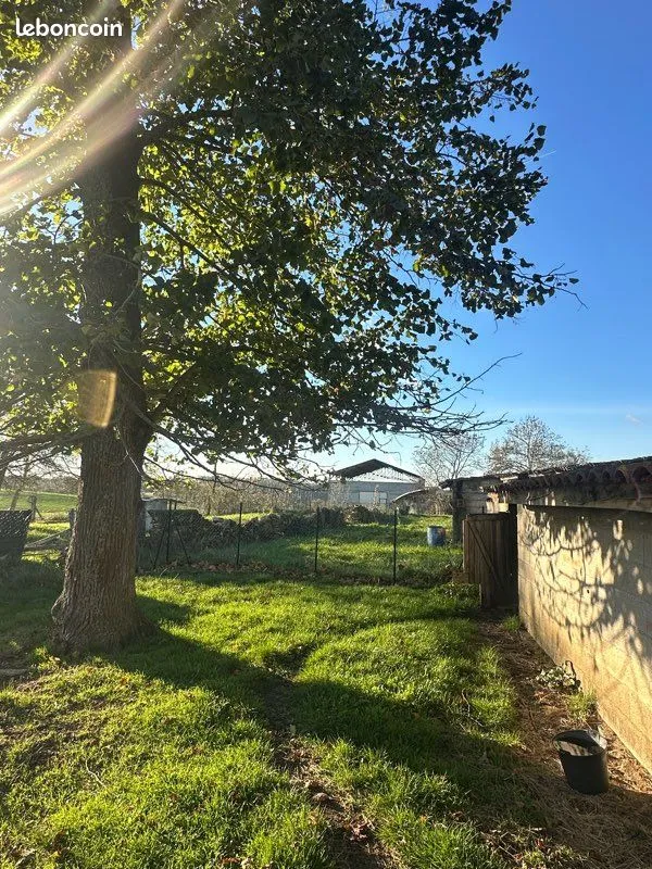 Terrain