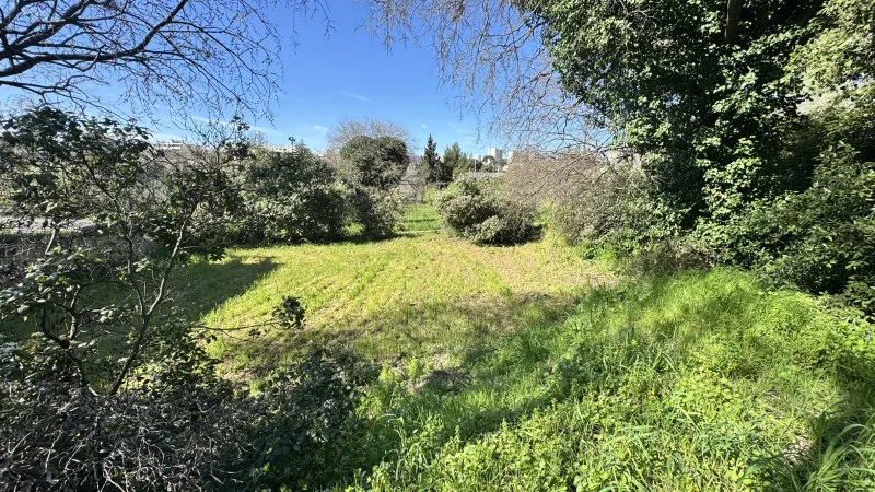 Terrain