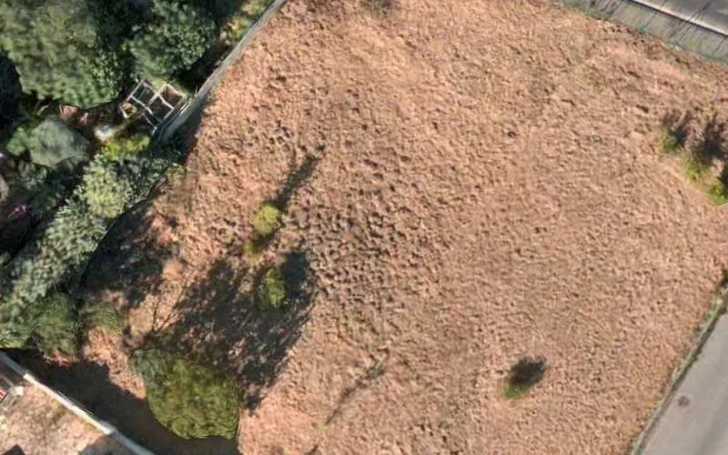Terrain