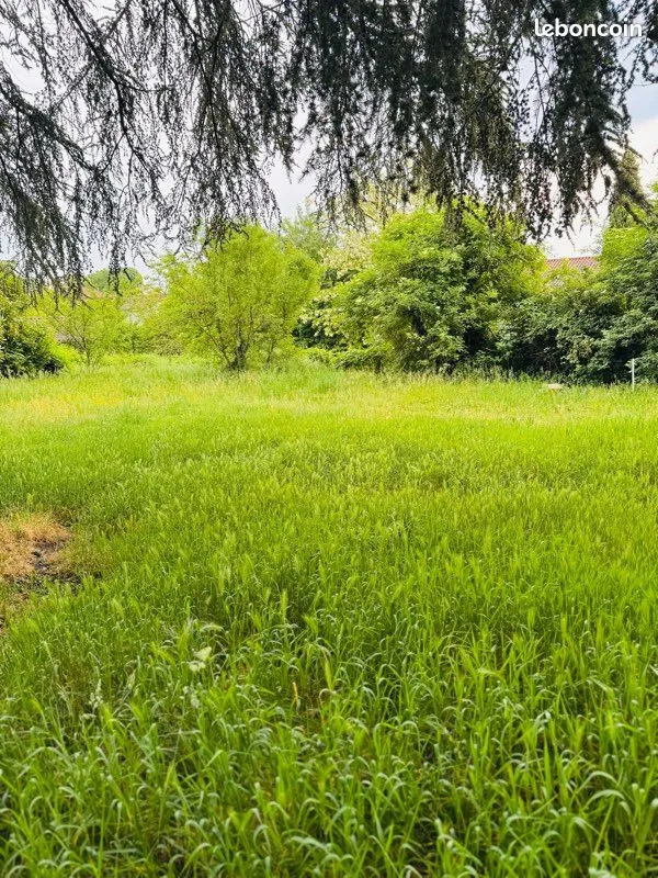 Terrain