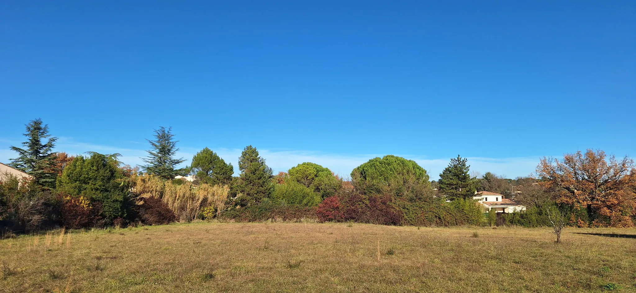 Terrain