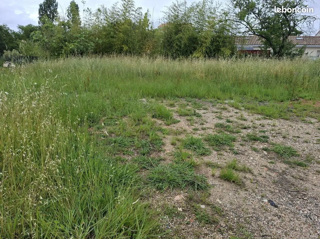 Terrain
