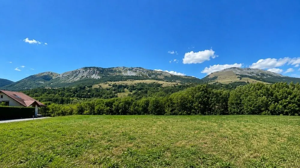 Terrain