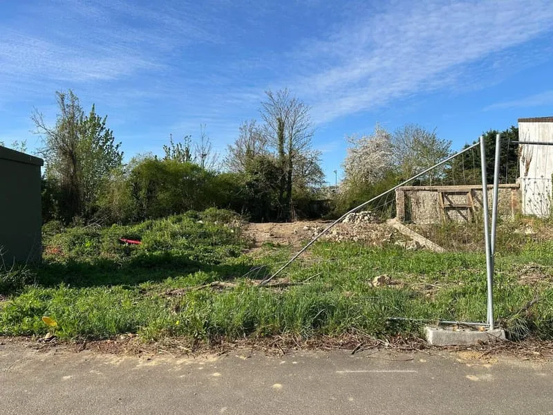 Terrain
