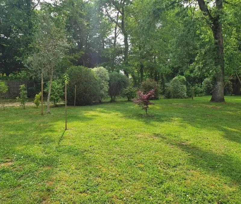 Terrain